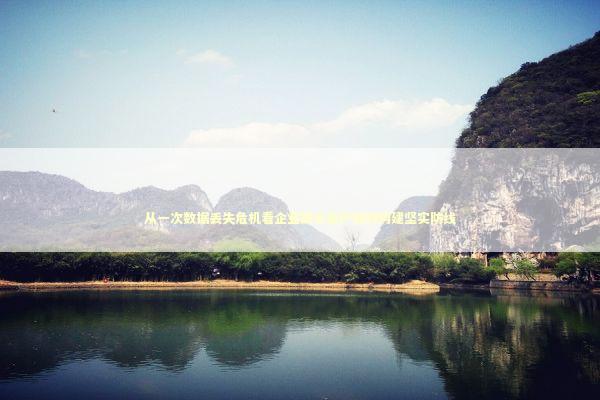 从一次数据丢失危机看企业数字资产如何构建坚实防线 从一次数据丢失危机看企业数字资产如何构建坚实防线 IT技术