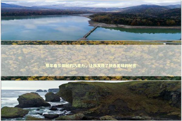 那年春节带回的巧克力，让我发现了挑选美味的秘密 时尚用品