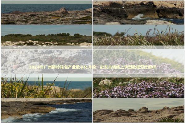 2024年广州狮岭箱包产业数字化升级：批发市场线上转型数据深度解析 新闻