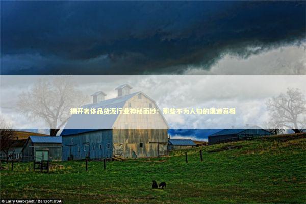 揭开奢侈品货源行业神秘面纱：那些不为人知的渠道真相 企业服务
